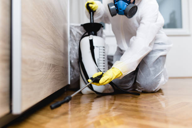 Best Rat Extermination Near Me  in Barker Heights, NC