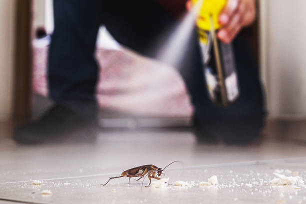 Reliable Barker Heights, NC Pest Control Solutions