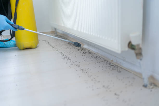 Best Pest Control Near Me  in Barker Heights, NC